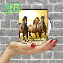  Animals 052 Лошади 02